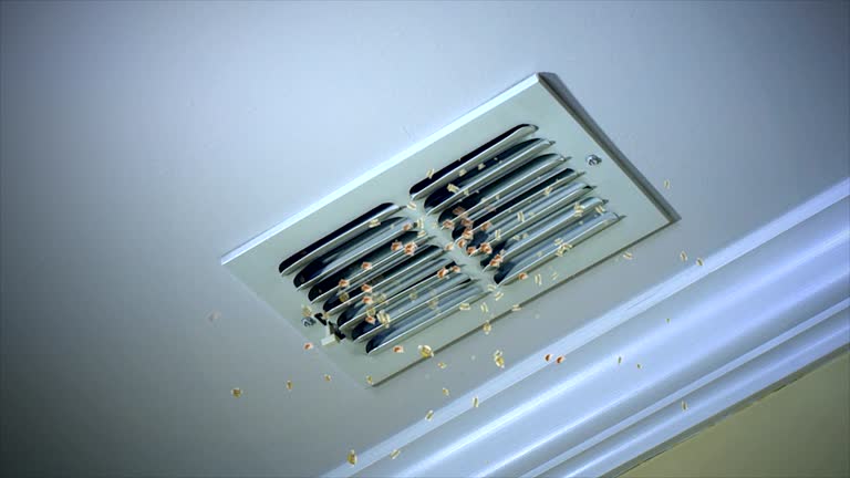 Best Ventilation Cleaning Services  in Nutter Fort, WV